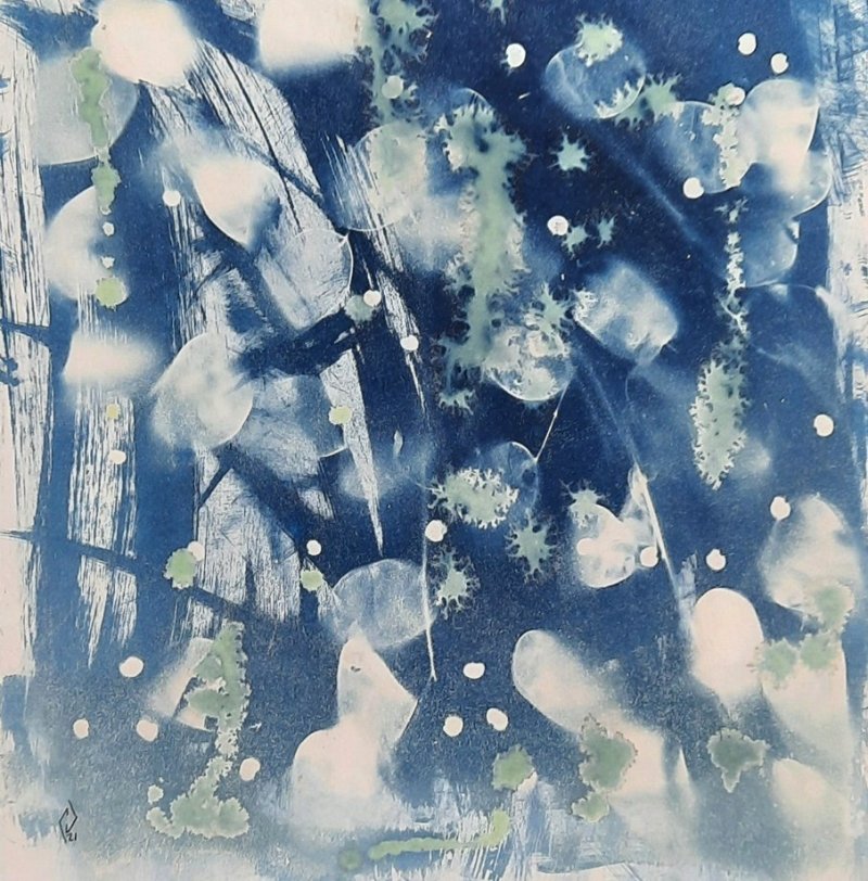 expo14-durieux-claire-monnaie-du-pape-cyanotype