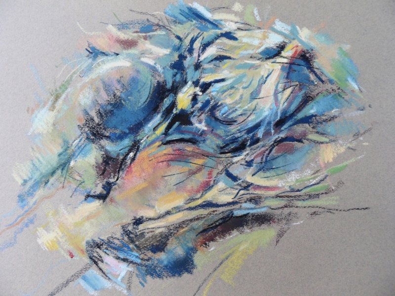 expo15-guerard-defaux-genevieve-droles-d-oiseaux